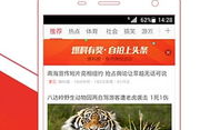 视频头条,揭秘热门事件背后的真相与影响