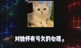 娱乐圈八卦吃瓜视频,吃瓜视频背后的惊人真相