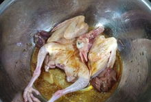 烤鸽子的做法视频教程,视频教程教你轻松掌握美味佳肴