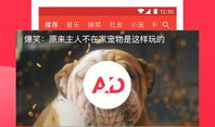 教师吃瓜爆料视频下载网站,揭秘娱乐圈幕后真相