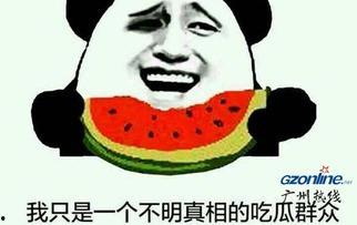 吃瓜网友是什么意思,网络时代的旁观者与评论家